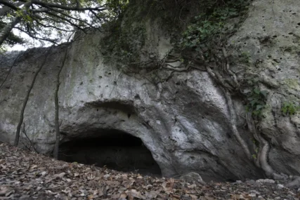 Una profonda cavità scavata alla base di una parete rocciosa dall'uomo, nell'Età del Bronzo. Luoghi come questo possono essere scelti da una lupa per partorire i cuccioli in primavera. Murgia Materana (Basiliata). Settembre 2020. Foto Gianluca Damiani ©. tana di lupo